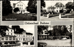 CPA Ostseebad Dahme, Haus Seefrieden, Am Ehrenmal, DRK Müttererholungsheim, Haus Mumm Stübler - Andere & Zonder Classificatie