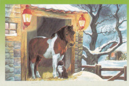 Horse & Cat - Cheval - Paard - Pferd - Cavallo - Cavalo - Caballo - Häst - Villivarsa - Wild Foal - Pferde