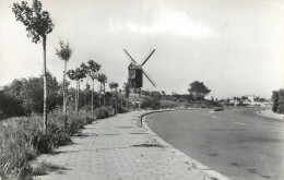 Postcard Netherlands St. Idesbald Windmill - Amsterdam