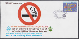 Inde India 2013 Special Cover Kashmir, Health, Tobacco, Gutka Free, Medical, Smoking, Cigarette, Pictorial Postmark - Lettres & Documents