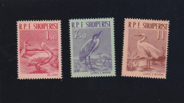 Albania 1961 - Fauna , Birds ,serie 3 Values , Perforated , MNH , Mi.790-792 - Albanie