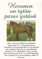 Horse - Cheval - Paard - Pferd - Cavallo - Cavalo - Caballo - Häst - Horse Is Girl's Best Friend - Chevaux