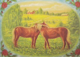 Horse - Cheval - Paard - Pferd - Cavallo - Cavalo - Caballo - Häst - Karto - Terho Peltoniemi - Paarden