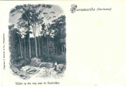 Suriname Paramaribo Kijkjes Op Den Weg Naar De Gouldvelden, Très Rare - Suriname