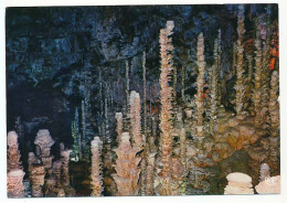 CPSM / CPM 10.5 X 15 Lozère Grottes De L' AVEN ARMAND Groupe De Stalagmites Dans La Forêt Vierge - Autres & Non Classés