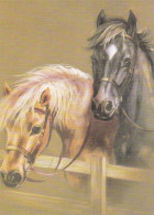 Horse - Cheval - Paard - Pferd - Cavallo - Cavalo - Caballo - Häst - Taidekustannus Oy - Chevaux