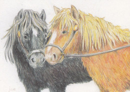 Horse - Cheval - Paard - Pferd - Cavallo - Cavalo - Caballo - Häst - Double Card - Caballos