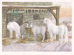 Horse - Cheval - Paard - Pferd - Cavallo - Cavalo - Caballo - Häst - Villivarsa - Wild Foal - Caballos