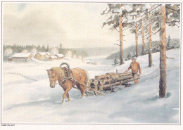 Horse - Cheval - Paard - Pferd - Cavallo - Cavalo - Caballo - Häst - Kuurojen Liitto - Kimmo Pälikkö - Chevaux