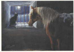Horse & Cats - Cheval - Paard - Pferd - Cavallo - Cavalo - Caballo - Häst - Guiet Moment For The Residents Of The Stable - Caballos