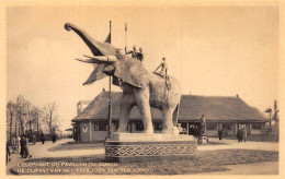Exposition Universelle 1935 - L'ELEPHANT DU PAVILLION DU CONGO  DE OLIFANT VAN HET PAVILJON VAN DEN KONGO Cpa - Weltausstellungen