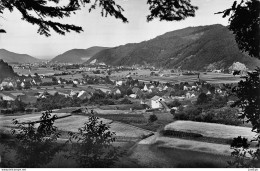 Allemagne > Bade-Wurtemberg - Bleibach I, Elztal - Gasthof U. Pension Z. Sonne  - Cpsm ±1950 - Autres & Non Classés