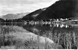 BÜHL Am Alpsee (Allaäu) Bei Immenstadt Berge Wälder Seen -  82 Aufnahme Und Verlag Fotohaus Hipp, ± 1950 CPSM - Autres & Non Classés