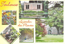 31 - Toulouse - Le Jardin Des Plantes - Multivues - Toulouse