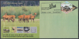 Inde India 2012 Special Cover Swamp Land, Deer, Rhino, Rhinoceros, Francolin, Bird, Birds, Turtle, Pictorial Postmark - Lettres & Documents