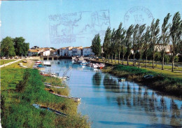 17 - Charente Maritime -  SAUJON -  Le Port De Riberou - Saujon