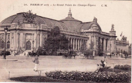 75 -  PARIS 08 -  Le Grand Palais Des Champs Elysées - Paris (08)