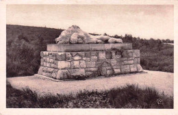 55 - Meuse -  Monument élevé Au Carrefour SAINTE FINE ( Fleury-devant-Douaumont ) Guerre1914 - Autres & Non Classés