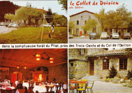 42 - Loire -  PELUSSIN - Grill Hotel Du " Collet De Doizieu " - Pelussin