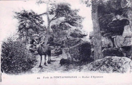 77 - Seine Et Marne - Foret De FONTAINEBLEAU - Rocher D Apremont - Fontainebleau