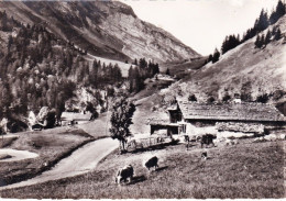 74 - Haute Savoie -  La Route Du Col Des Aravis Entre Le Col Et La GIETTAZ - Autres & Non Classés