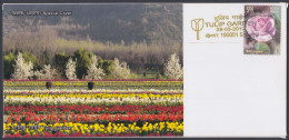 Inde India 2012 Special Cover Tulip Garden, Tulips, Flower, Flowers, Mountain, Flora, Pictorial Postmark - Cartas & Documentos