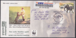 Inde India 2012 Special Cover Billy Tiger, Tigers, Wildlife, Wild Life, WWF, Animals, National Park, Pictorial Postmark - Brieven En Documenten