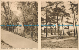 R001077 Hampstead Heath Walk And North End Road. The Vale Of Health. Photochrom. - Monde
