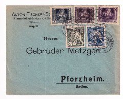 Czechoslovakia 1919 Jablonec Nad Nisou Gablonz An Der Neiße Anton Fischer Wiesenthal Československo Böhmen - Storia Postale