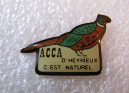 PIN'S   ANIMAUX  OISEAU  A.C.C.A.  D HEYRIEUX - Animales