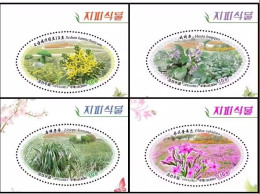 2024 KOREA COVER PLANTS FLOWER STAMP 4V - Korea (Nord-)