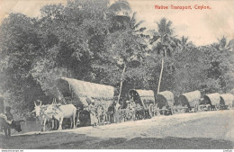 Ceylon ( Ceylan ) Sri Lanka / Attelage De Boeufs / Ox Team / Caravane / Convoy / Native Transport , Colombo - Cpa - Sri Lanka (Ceylon)