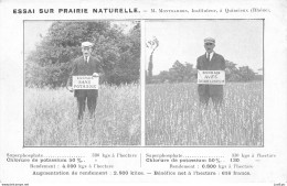 Essai Sur Prairie Naturelle - M. Montbarbon, Instituteur à Quincieux (Rhone) # Agriculture # Cpa - Autres & Non Classés
