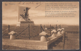 117449/ Waterloo, L'Aigle Blessé, Monument Au *Dernier Carré* Des Troupes Napoléoniennes - Oorlogsmonumenten