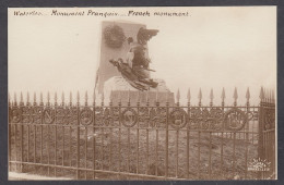 117448/ Waterloo, L'Aigle Blessé, Monument Au *Dernier Carré* Des Troupes Napoléoniennes - Oorlogsmonumenten