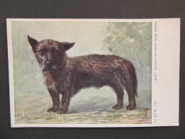AK Hund Dog Künstlerkarte Isa Jechl 1927 // P9068 - Hunde