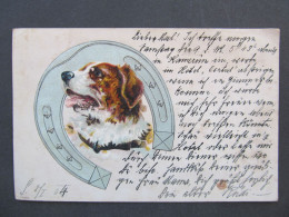 AK Hund Dog 1904 Prägekarte Litho  // P9072 - Hunde