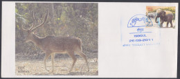 Inde India 2011 Special Cover Hangul, Red Deer, Wildlife, Wild Life, Animal, Animals, Pictorial Postmark - Brieven En Documenten