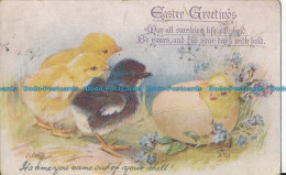 R001251 Easter Greetings. Golden Fluff. Tuck. Oilette. No 3148 - Monde