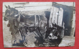 RPPC Mules Coming Out Of The Mine Anthracite Coal Mule Boy  Ref 6411 - Mijnen