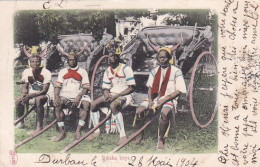 18301Riksha Boys (postmark 1904)(crease Corners) - Sudáfrica