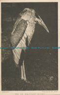 R001367 Adjutant Stork. F. W. Bond - Monde