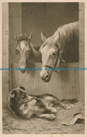 R001530 Old Postcard. A Dog And Horses. Alfred Stiebel. Alpha - Monde