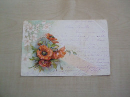 Carte Postale Ancienne 1906 COQUELICOTS - Fleurs
