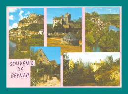 24 Beynac ( Château, Vallée, Yucca, Multivues ) - Sonstige & Ohne Zuordnung