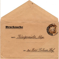 Bayern, 3 Pf. Drucksache Privat Ganzsache Umschlag, Sauber Gebr. V. München - Storia Postale