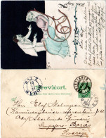 Norwegen 1901, 5 öre Ganzsache M. Rs. Zeichnung V. Christiania N. Schweden - Covers & Documents