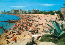 Espagne - Espana - Cataluna - Costa Brava - Playa De Aro - Playa - Plage - Femme En Maillot De Bain - CPM - Voir Scans R - Gerona