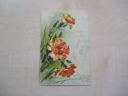 Carte Postale Ancienne 1907 CATHARINA KLEIN Oeillets Souvenir D' Amitié - Klein, Catharina