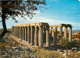 Grèce - Andritsaina - Le Temple D'Apollon Epikourios - Carte Neuve - CPM - Voir Scans Recto-Verso - Griechenland